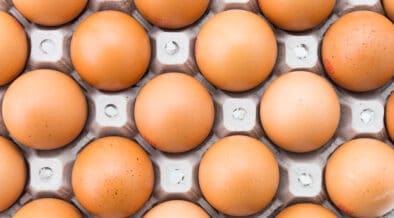 Hoeveel-eieren-per-dag