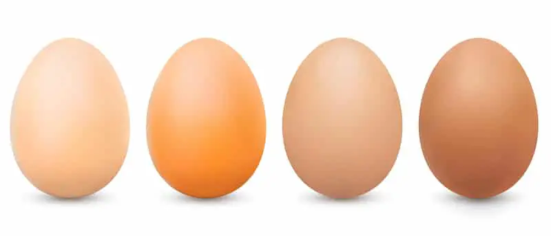 Hoeveel eieren per dag je mag eten