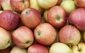 Vitamines in een appel