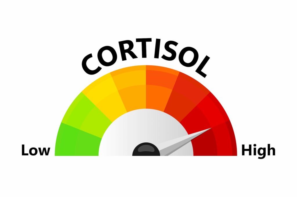 Cortisol kun je verlagen met supplementen als het te hoog is. Meten kan door middel van een speeksel- of bloedtest. Deze afbeelding laat zien of het cortisolgehalte te hoog is of niet.