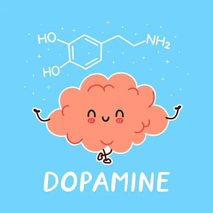 Deze afbeelding laat zien dat dopamine een belangrijke neurotransmitter is.